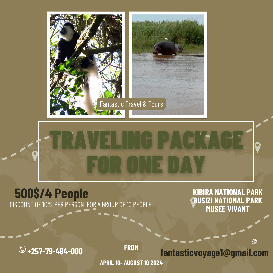 Tour Package One Day