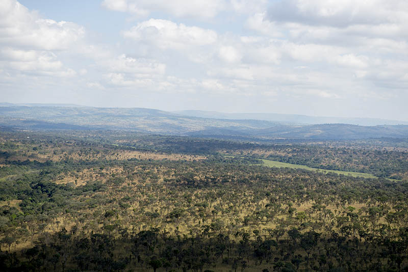 Parc national de la Ruvubu